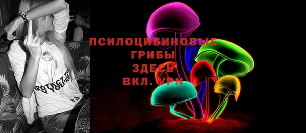 молекула духа Алексин