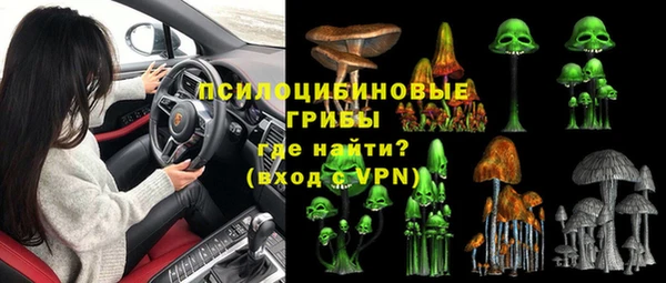 МДПВ Абинск