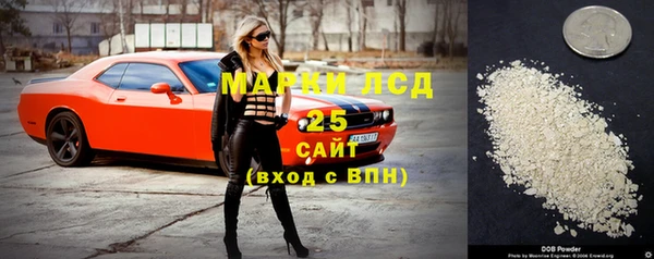 прущий лед Алзамай